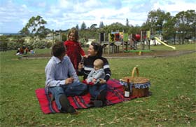 Blackbutt Forest Reserve - Accommodation in Bendigo 0