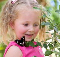Coffs Harbour Butterfly House - Accommodation in Bendigo