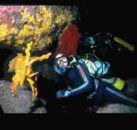 Solitary Islands Marine Park - Accommodation in Bendigo