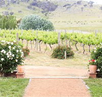 Brindabella Hills Winery - Accommodation in Bendigo