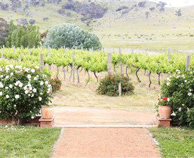 Brindabella Hills Winery - Accommodation in Bendigo 0
