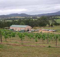 Villa d Esta Vineyard - Accommodation in Bendigo