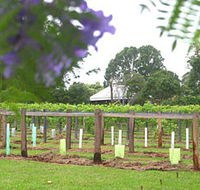 Douglas Vale Historic Homestead  Vineyard - Accommodation in Bendigo