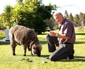 Moorebank Private Vineyard - Accommodation in Bendigo 2