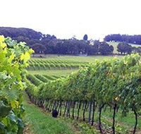 Banjo's Run Winery and Vineyard - Accommodation in Bendigo