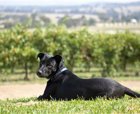  Accommodation in Bendigo