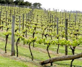 Millthorpe NSW Accommodation in Bendigo