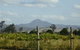 Ironbark Ridge Vineyard - thumb 0