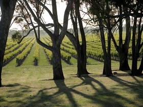 Henry's Drive Vignerons - Accommodation in Bendigo 0