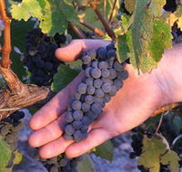 Eagles Rise Wine - Accommodation in Bendigo
