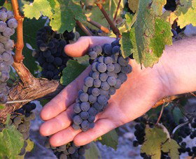 Eagles Rise Wine - Accommodation in Bendigo 0