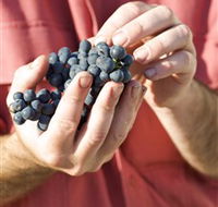 Brown Magpie Wines - Accommodation in Bendigo