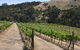 Moorabool Ridge - thumb 0