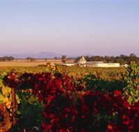 Morris Wines - Accommodation in Bendigo
