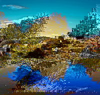 Loira Vines - Accommodation in Bendigo