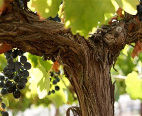 Harcourt North VIC Accommodation in Bendigo