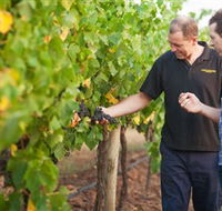 Fratin Brothers Vineyard - Accommodation in Bendigo