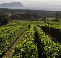 Bream Creek Vineyard