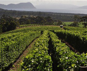 Bream Creek Vineyard - Accommodation in Bendigo 0