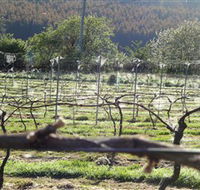 Three Willows Vineyard - Accommodation in Bendigo