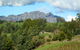 Lake Barrington Vineyard - thumb 0
