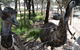 Narana Aboriginal Cultural Centre - thumb 4