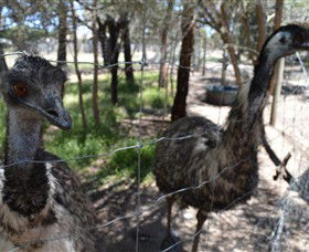 Narana Aboriginal Cultural Centre - Accommodation in Bendigo 4