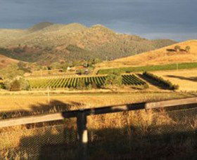 Optimiste Wines - Accommodation in Bendigo 0