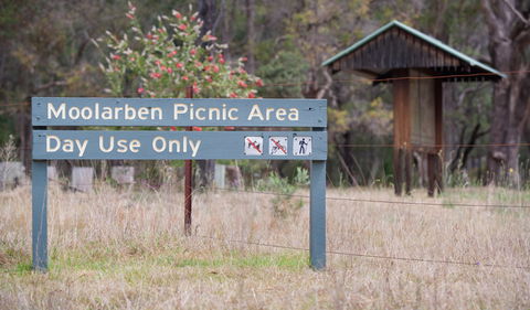 Moolarben Picnic Area - Accommodation in Bendigo 1
