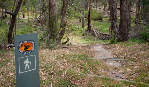 Moolarben Picnic Area - Accommodation in Bendigo 0