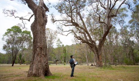 Moolarben Picnic Area - Accommodation in Bendigo 2