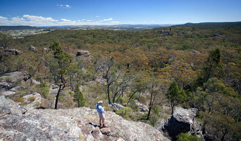 Munghorn Gap Nature Reserve - Accommodation in Bendigo 1