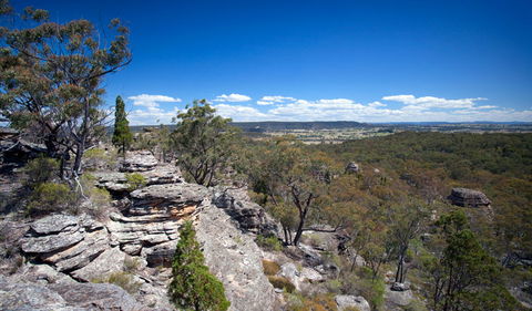 Munghorn Gap Nature Reserve - Accommodation in Bendigo 0