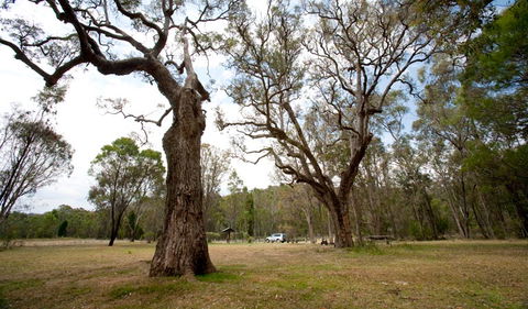 Munghorn Gap Nature Reserve - Accommodation in Bendigo 3