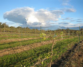 Flyfaire Wines - Accommodation in Bendigo 7