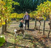 Little River Wines of Taggerty - Accommodation in Bendigo