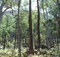 Cathedral Range State Park - Accommodation in Bendigo