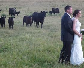 Athol Gardens - Accommodation in Bendigo 2