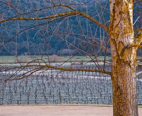 Chrismont - Accommodation in Bendigo 4