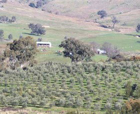 Wymah Organic Olives And Lambs - Accommodation in Bendigo 0