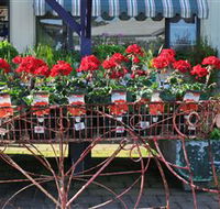 Van Loon's Nursery - Accommodation in Bendigo