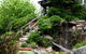 Bellarine Adventure Golf - thumb 5