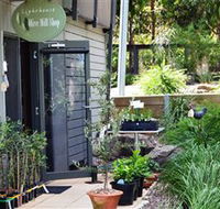 The Lighthouse Olive Mill Shop - Accommodation in Bendigo