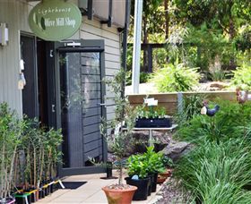 The Lighthouse Olive Mill Shop - Accommodation in Bendigo 0