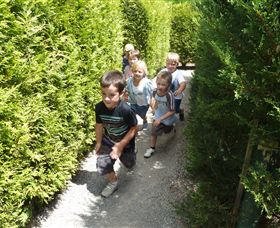 Hedgend Maze And Healesville Laser Sport - Accommodation in Bendigo 1