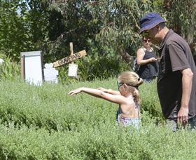 Hedgend Maze And Healesville Laser Sport - Accommodation in Bendigo 2
