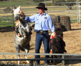 Boggy Creek Shows - Accommodation in Bendigo 2