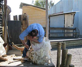 Boggy Creek Shows - Accommodation in Bendigo 4