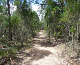 Goonoowigall State Conservation Area - Accommodation in Bendigo 1