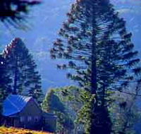 Bunya Mountains National Park - Accommodation in Bendigo